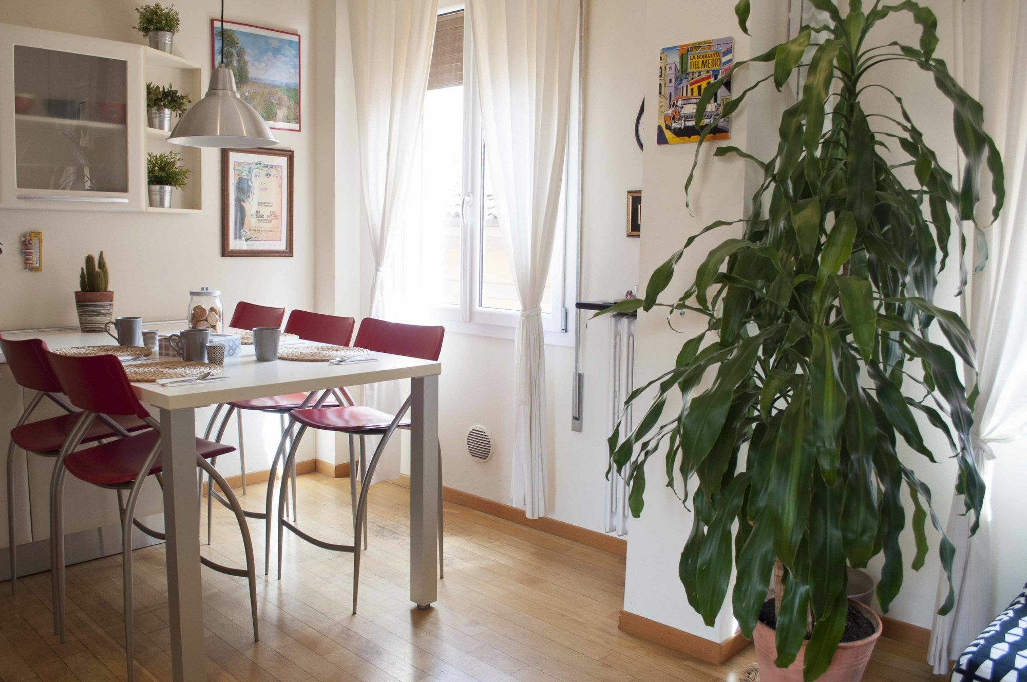 San Domenico Apartment Bologna Exterior photo